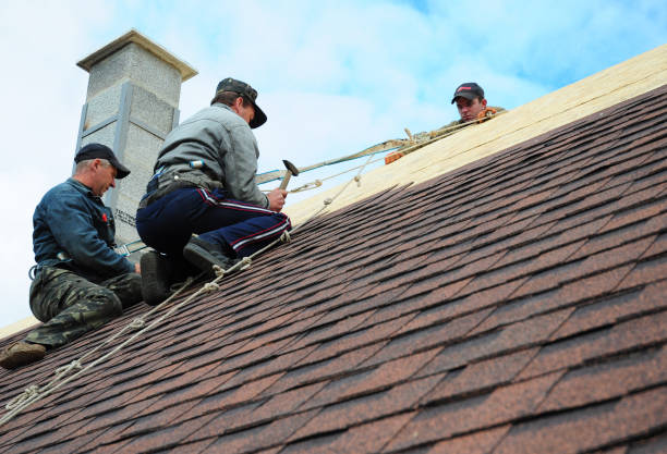 Best Roof Leak Repair  in Fort Lee, VA